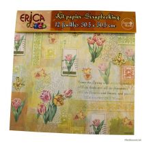 Kit Papier 30x30cm Scrapbooking 12 Feuilles - Erica - Generic