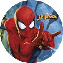 Disque Spider-man Ø 20 Cm - Comestible - Dekora