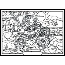 Tableau Velours A Colorier Quad Sericolor
