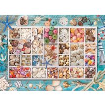 Puzzle 1000 Pièces - Collection De Coquillages - Eurographics