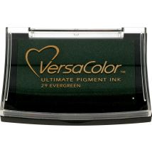 Encreur Versacolor Evergreen - Tsukineko