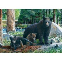 Puzzle 1000 Pièces Ours Et Bébés - Eurographics