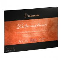 Bloc Aquarelle Watercolour 300g/m2 10feuilles Grain Fin 30x40cm - Hahnemühle