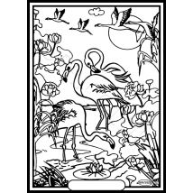 Tableau Velours A Colorier Flamant Rose Sericolor