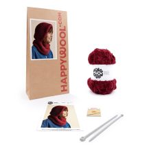 Kit Tricot Capuche Snowboard Grenat Tu - Pingouin