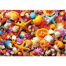 Puzzle Coquillages Avec Etoiles De Mer 1000 Pieces - Collection Ocean Et Fonds Marins - Educa - 20246 - Educa