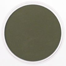 Panpastel 9ml Bright Yellow Green Extra Dark - Panpastel