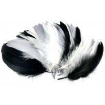 Plumes D'Oie Naturel 14/17 Cm 20g - Sodertex
