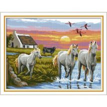 Kit Aida À Broder Point De Croix Camargue - LUC