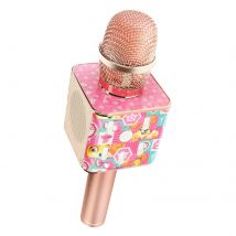 Forever Micro Karaoke Sans Fil Bluetooth Enfant Motif Pat Patrouille Stella Rose Champagne