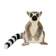 Peluche Lemurien De Madagascar 28cm - Anima
