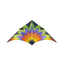 Cerf-volant Delta Feux D'Artifice 4m - HQ