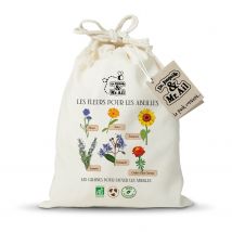 Kit De Graines Bio - Les Fleurs Pour Les Abeilles - Dr. Jonquille & Mr. Ail