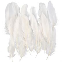 Plumes D'Oie Blanches, Blanc, 350 Pièces/ 1 Pq. - CC Hobby
