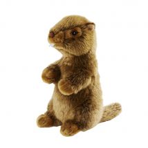Peluche Marmotte Debout 25cmh - Anima