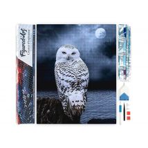 Diamond Painting Broderie Diamant Figured’art 40x50cm Toile Entière Roulée Avec Diamants Carrés - Chouette Blanche - Figured'Art