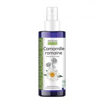 Camomille Romaine - Hydrolat - Joli'Essence