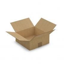 15 Cartons D'Emballage 25 X 25 X 10 Cm - Simple Cannelure - Raja
