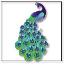 Kit Sticker Broderie Diamant 9x9cm Paon - Crystal Art
