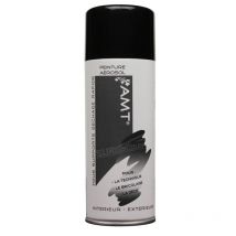 Bombe De Peinture Noir Brillant 330ml - Amt