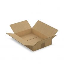 Carton D'Emballage 31 X 21.5 X 5.5 Cm - Simple Cannelure - Raja