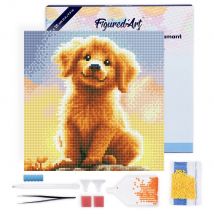 Mini Diamond Painting Broderie Diamant Figured’art 25x25cm Toile Tendue Sur Châssis En Bois - Diamants Ronds - Adorable Chiot Golden Retriever - 