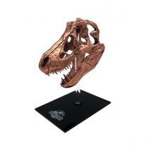Jurassic Park - Réplique Mini T-rex Skull 10 Cm - FACTORY ENTERTAINMENT