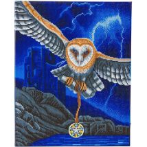 Kit Tableau Diamant Led 40x50cm Hibou - Crystal Art