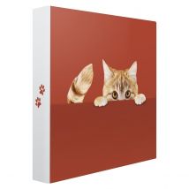 Album Photo Pochette Cache-cache Chat 200 Photos 10x15 Cm - Ceanothe