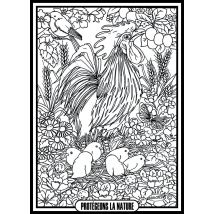 Tableau Velours A Colorier Coq Et Poussins Sericolor