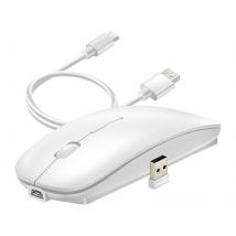 Wiwu Souris Sans Fil Bluetooth Et Dongle Usb 2.4g Compacte Rechargeable Blanc - Wiwu