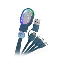 Câble Astro 4en1 - MOB - Mobility On Board