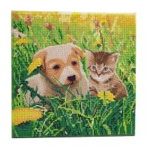 Crystal Art Kit Tableau Broderie Diamant 30x30cm Chat Et Chien Pré - Crystal Art