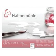 Bloc Aquarelle Harmony 300g/m2 12feuilles Grain Fin 24x30cm - Hahnemühle