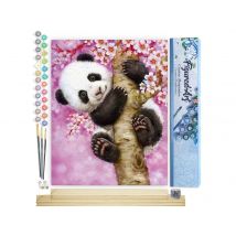 Peinture Par Numéro Figured'art - Bébé Panda - Kit De Loisir Créatif Diy Numéro D'Art Complet - 40x50cm Toile Roulée + Châssis En Bois À Monter