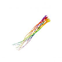 Cerf-volant - Accessoire - Queue Soft Swirl Rainbow 6m - HQ