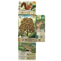Jeu De Société Asmodee Forest Shuffle Jeu De Stratégie Forestier Multicolore