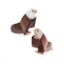 Maxi Aigle À Tête Blanche - No Name