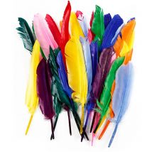 Assortiment De Plumes Colorées - 17 À 20 Cm - 250 Pcs - CC Hobby