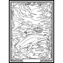 Tableau Velours A Colorier Dauphin Crepuscule Sericolor