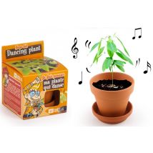 Je Fais Pousser Ma Plante Qui Danse - Radis et Capucine