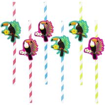 6 Pailles Toucan - Boland