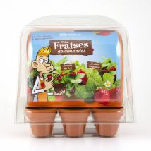 Mini-serre Fraisiers - Radis et Capucine