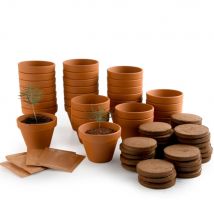 Kit Pour Une Activité De Fin D'Année : 24 Sapins De Noël - Radis et Capucine