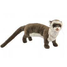 Furet 35cml - Anima - Hansa
