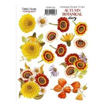 Planche De Stickers Couleur Embelissement Fabrika Decoru Autumn Botanical Diary 226 - FABRIKA DECORU