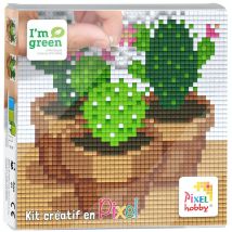 Pixel Kit Créatif Tableau 12x12cm - Cactus - Pixel ou Pixel kit