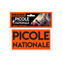 Brassard - Picole Nationale - Déguisement - Soirée - Festival - Humour - Petit Joueur