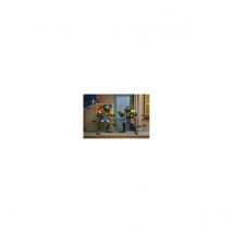 Les Tortues Ninja - Pack 2 Figurines Napoleon & Atilla Frog 18 Cm - Neca