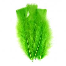 Plumes De Dinde 12/18 Cm 25g Vert - Sodertex